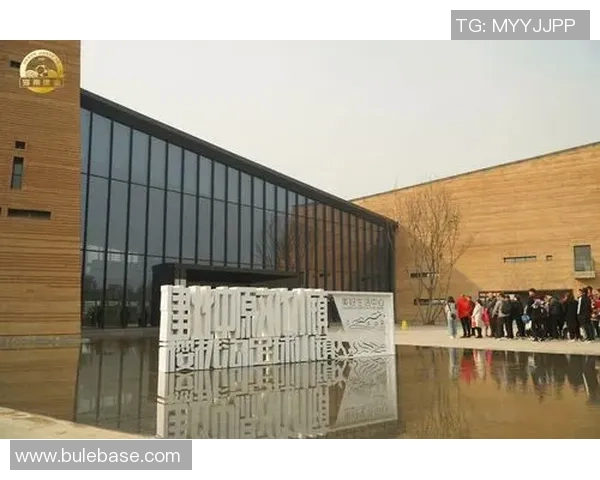 建业足球小镇：打造中国足球文化新高地与青少年培养基地